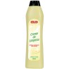 CREME DE LIMPEZA LIMÃO AGISOL 500ML